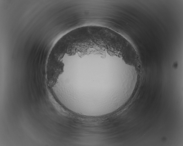 X0000115740980200912241643