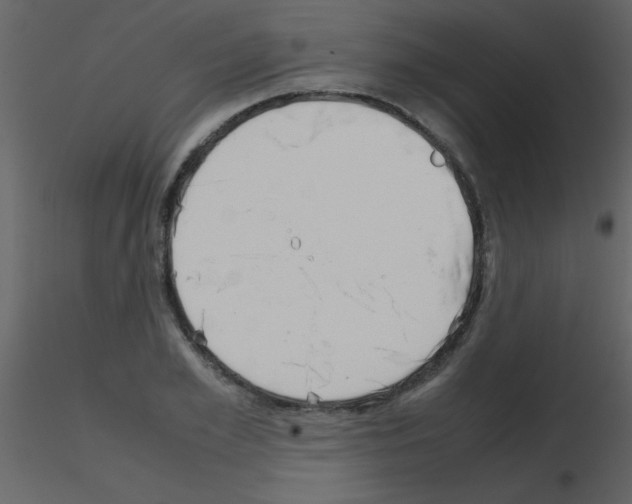 X0000115740981200912241643