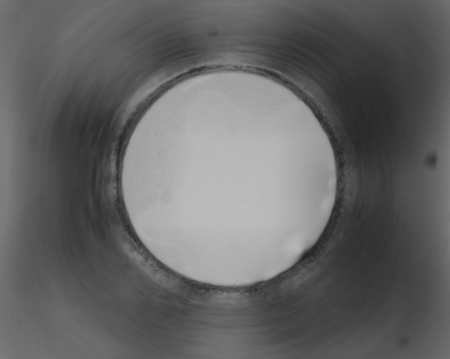 X0000115740982200912241643