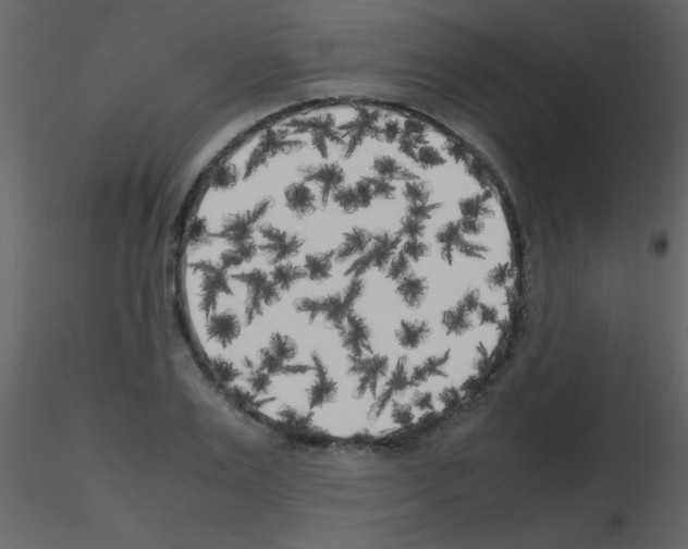 X0000115740983200912241643