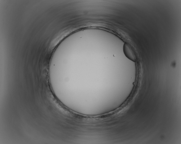 X0000115740985200912241643