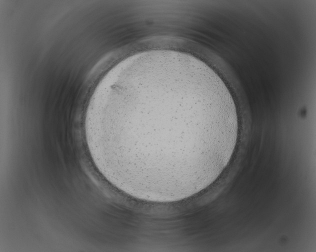 X0000115740986200912241643