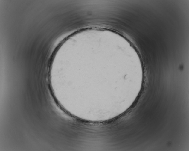 X0000115740987200912241643