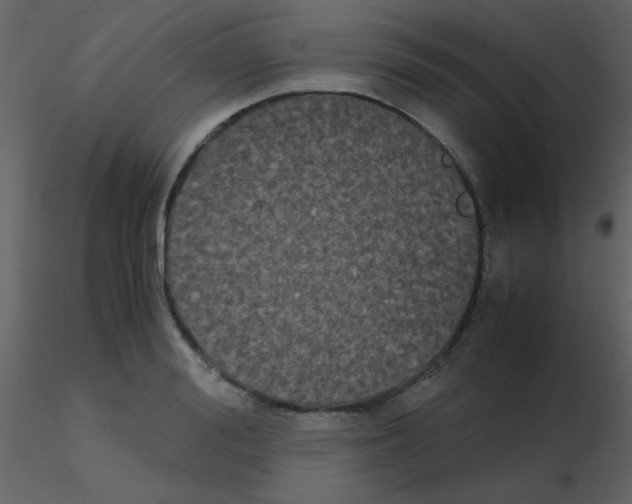 X0000115740988200912241643