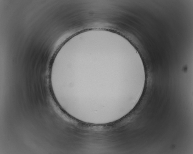 X0000115740990200912241643