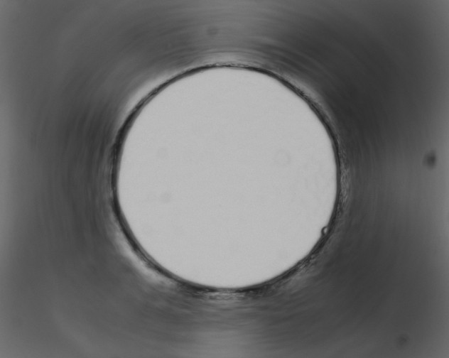 X0000115740991200912241643