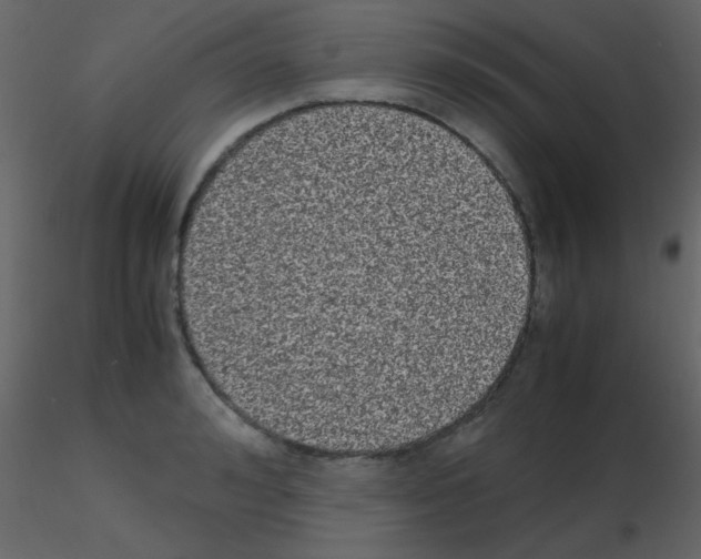 X0000115740992200912241643