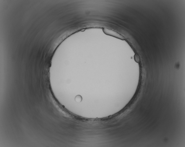 X0000115740993200912241643