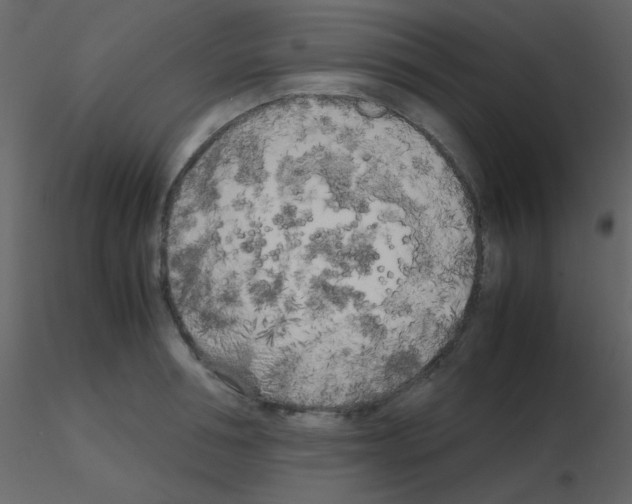 X0000115740994200912241643