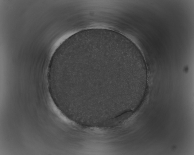 X0000115740995200912241643