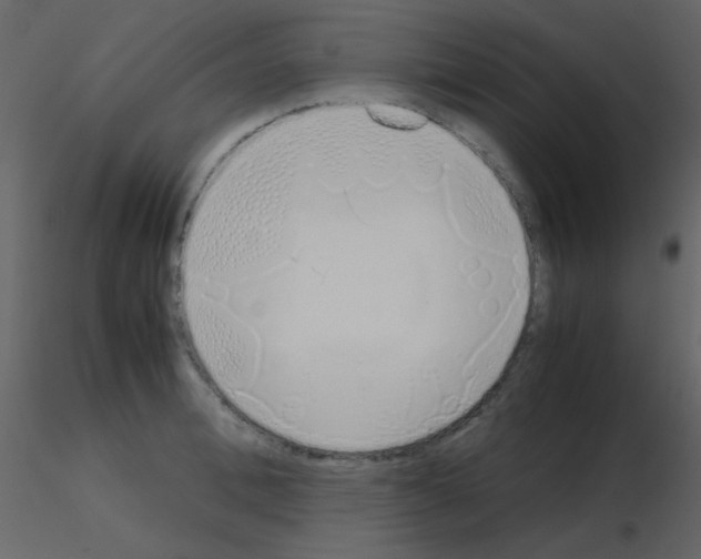 X0000115740996200912241643