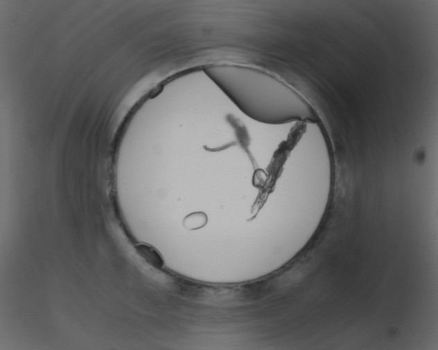 X0000115740997200912241643