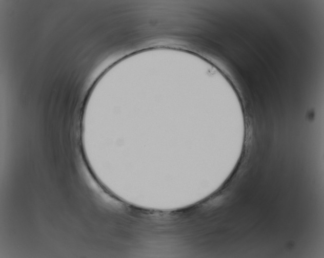 X0000115740999200912241643