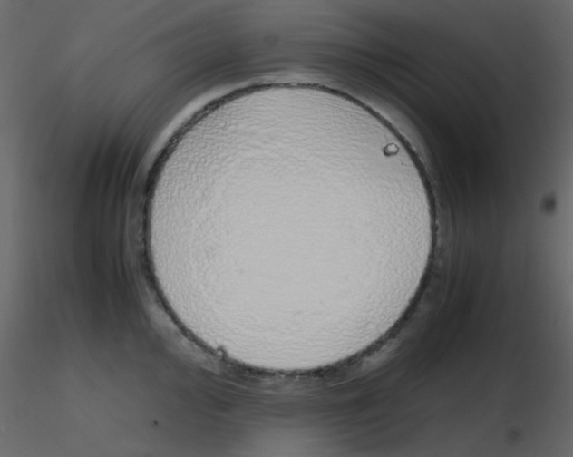 X0000115741000200912241643