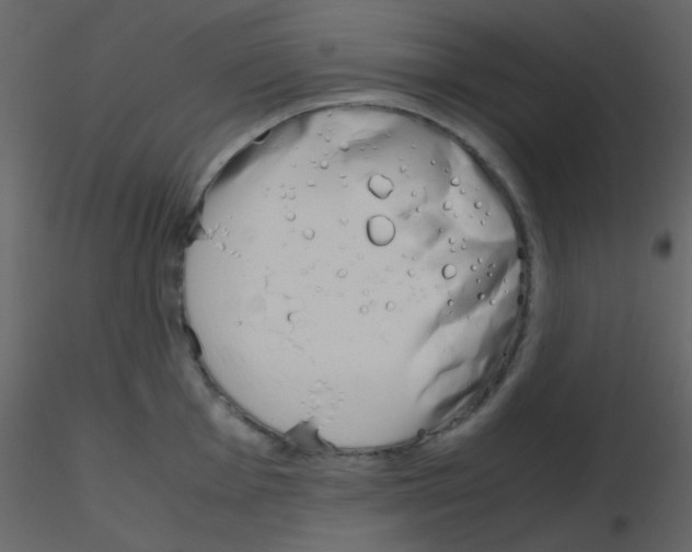 X0000115741001200912241643