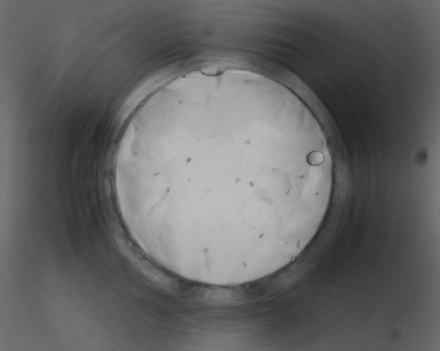 X0000115741002200912241643