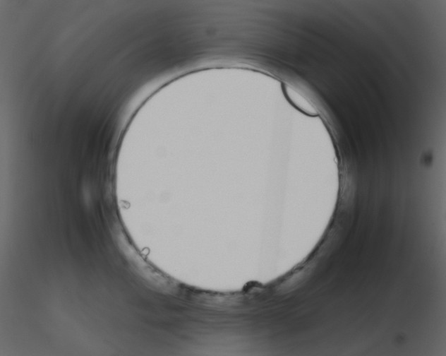 X0000115741004200912241643