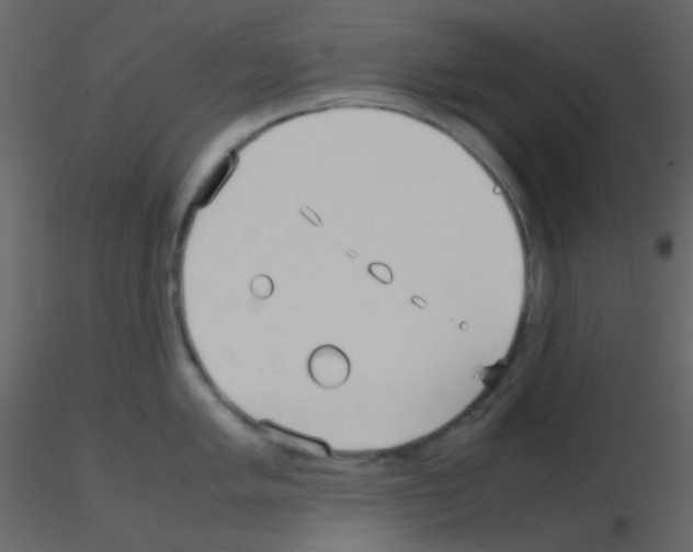 X0000115741005200912241643