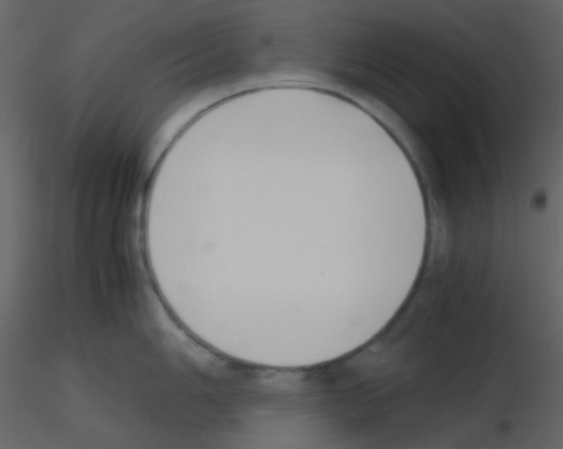 X0000115741006200912241643