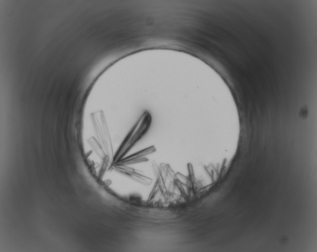 X0000115741007200912241643