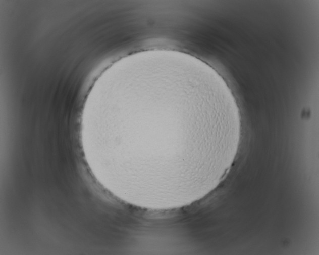 X0000115741008200912241643