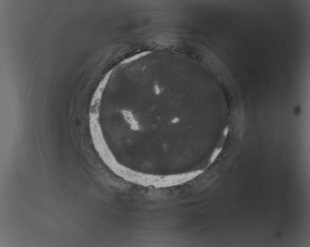 X0000115741009200912241642