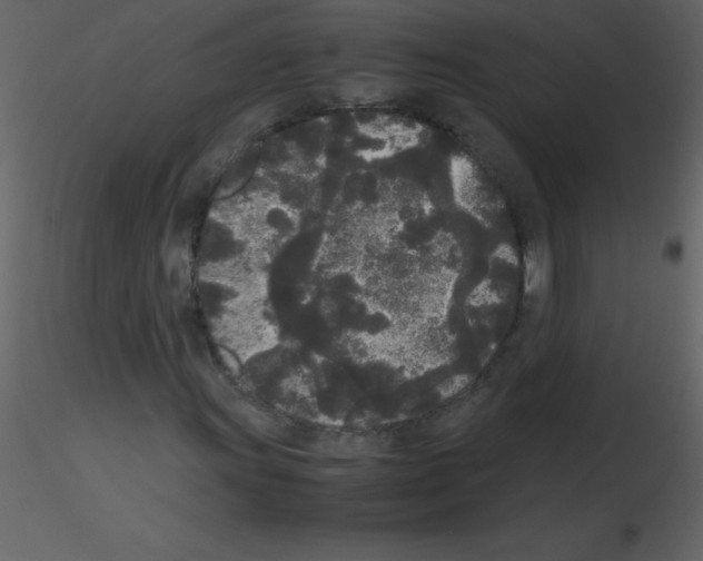 X0000115741011200912241642