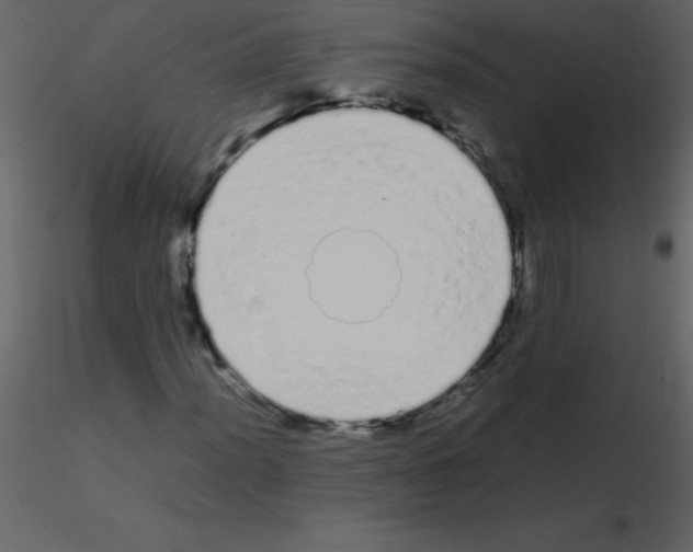 X0000115741012200912241642