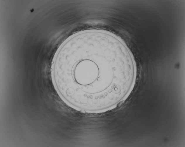 X0000115741014200912241642