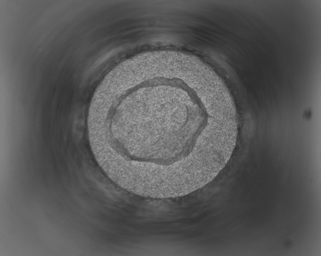 X0000115741015200912241642