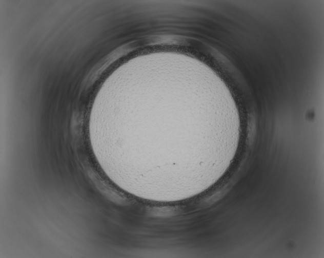 X0000115741017200912241642