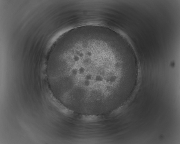 X0000115741019200912241643