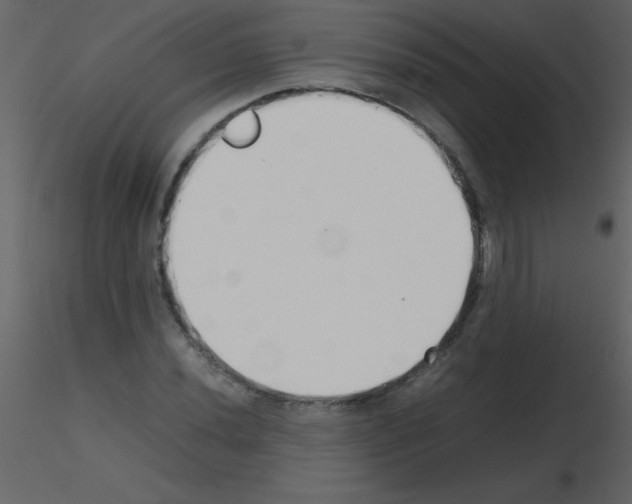 X0000115741020200912241643