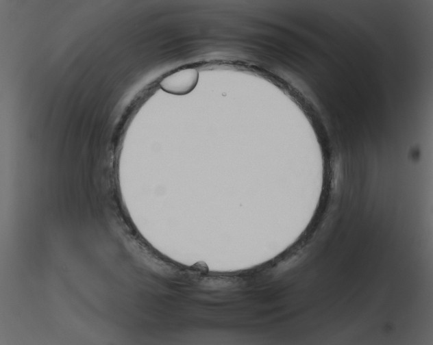 X0000115741021200912241643