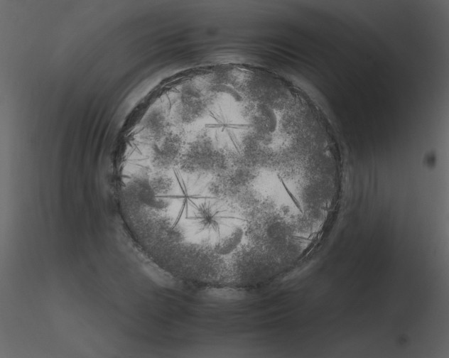 X0000115741023200912241643