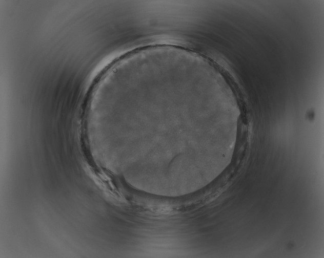 X0000115741024200912241643