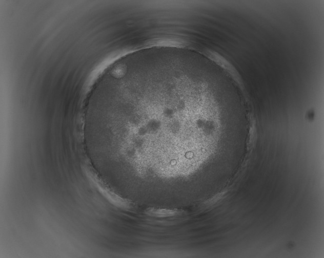 X0000115741027200912241643