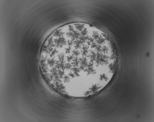 X0000115741028200912241643