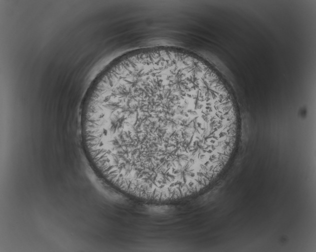 X0000115741031200912241643