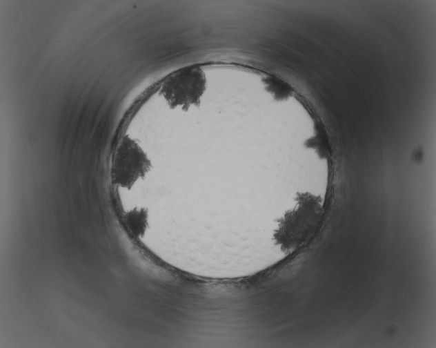 X0000115741032200912241643