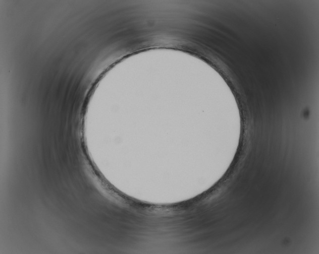 X0000115741034200912241643