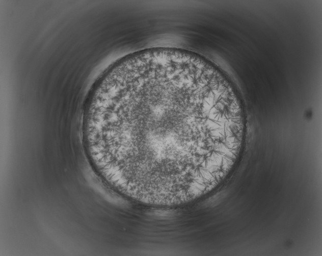 X0000115741035200912241643