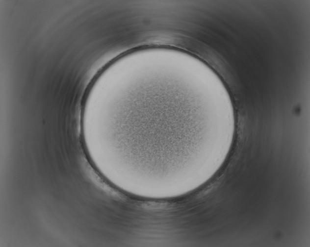 X0000115741036200912241643