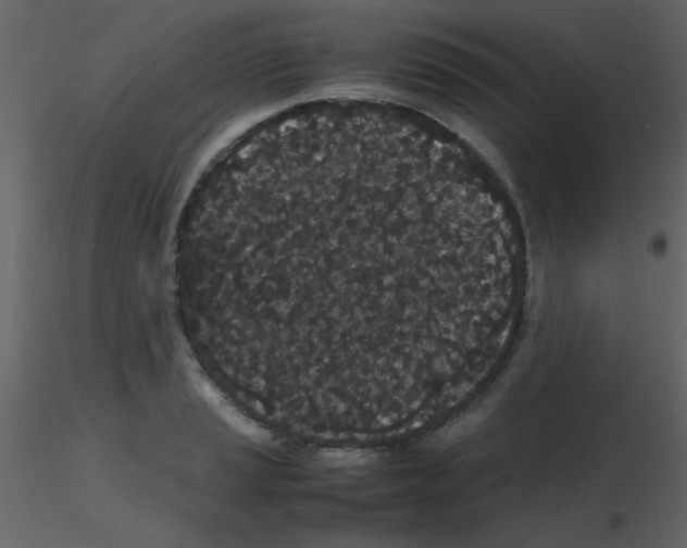 X0000115741037200912241643