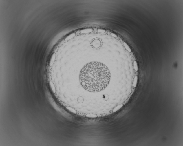 X0000115741038200912241643