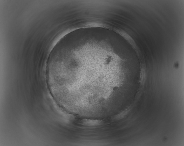 X0000115741039200912241643