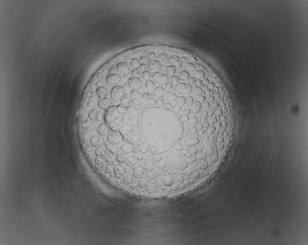 X0000115741040200912241643