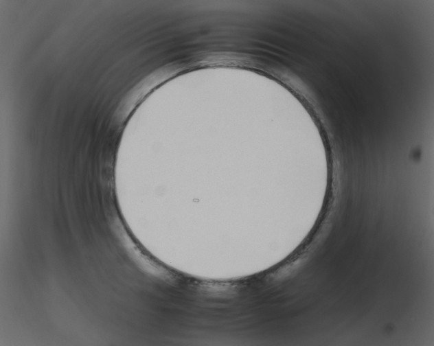 X0000115741041200912241643