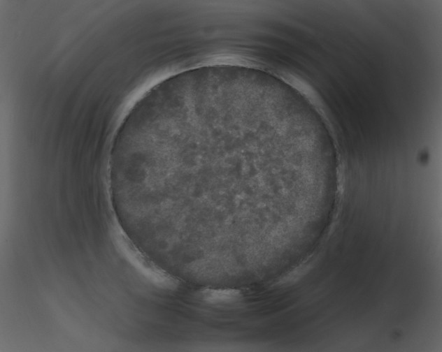 X0000115741043200912241643