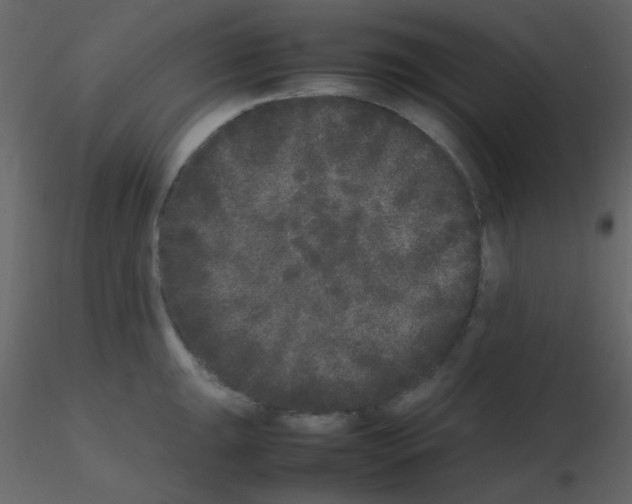 X0000115741047200912241643